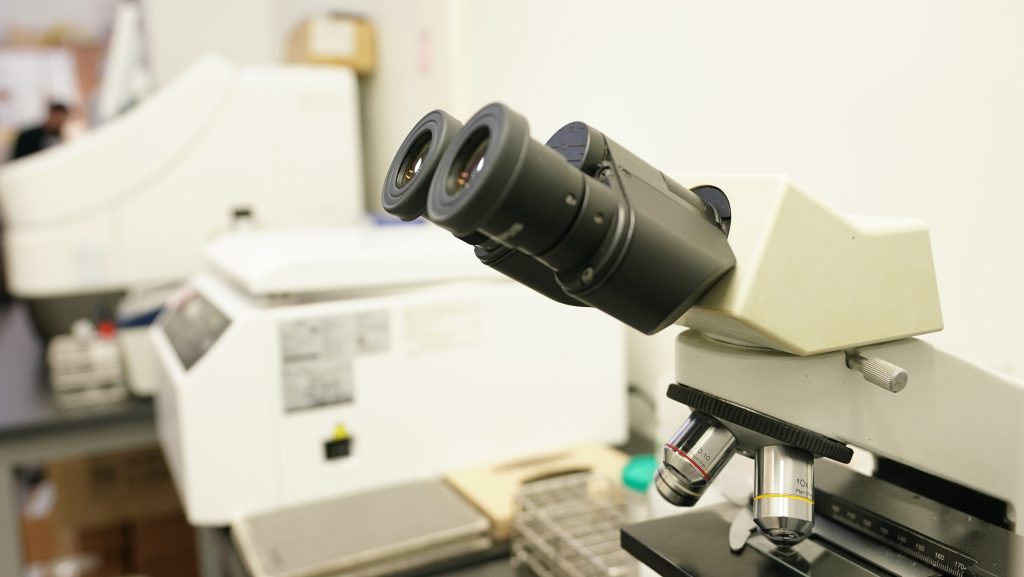 설근부암에 대한 모든 것